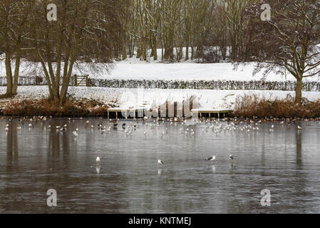 Una vista innevata e innevata del ghiacciato Lago della Valle della Arrow, con anatre e uccelli in cima al ghiaccio Foto Stock