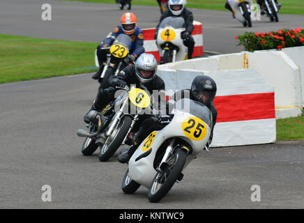 Roger Munsey, Peter equipaggio, Norton Domiracer piombo Sebastien Gutsch, Mike Farrall, Kazcor BMW R50 attraverso la chicane Goodwood 2013, Barry Sheene Foto Stock