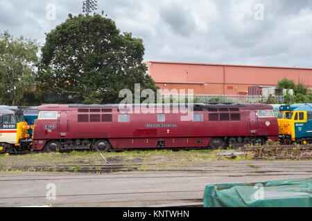 Il diesel-locomotiva idraulico British Rail class 52 Western Champion è visto tra due classe 50 diesel-elettrico in Severn Valley Railway Foto Stock