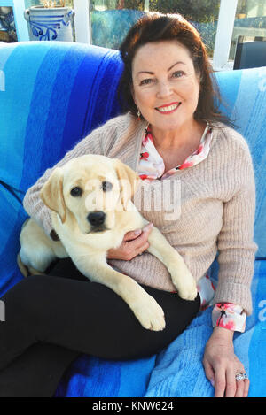 Femmina matura cuddling un giovane cucciolo di Labrador sul suo giro - Giovanni Gollop Foto Stock