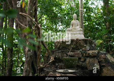 Il Buddha sotto un albero, Cambogia Foto Stock