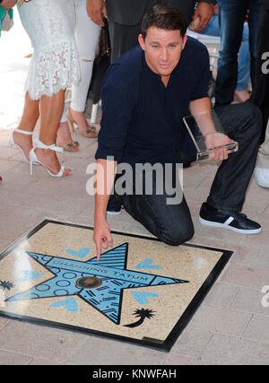 MIAMI, FL - 24 giugno: Gabriel Iglesias, Matt Bomer, Adam'Rodr guez, Joe Manganiello, Channing Tatum e Jada Pinkett Smith frequentare Magic Mike XXL cast onorato con stelle sulla Gazzetta Miami Walk of Fame al Bayside Marketplace su Giugno 24, 2015 a Miami in Florida. Persone: Channing Tatum Foto Stock