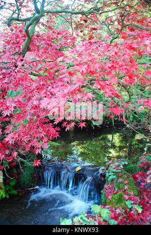 La bellezza di autunno, Newstead Abbey, Nottinghamshire Foto Stock