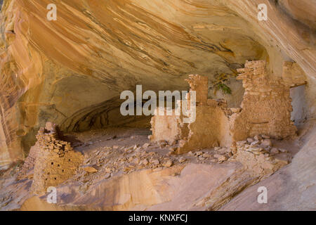 Rovine Anasazi, Monarch Grotta, il maggiordomo lavaggio, vicino a Bluff, Utah, Stati Uniti d'America Foto Stock