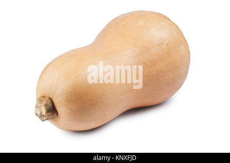 Un studio shot di un insieme unico zucca isolato su bianco - Giovanni Gollop Foto Stock