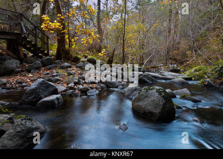 GARZAS CREEK nel canyon GARZAS durante l'autunno- Carmel Valley, California Foto Stock