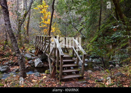 GARZAS CREEK nel canyon GARZAS durante l'autunno- Carmel Valley, California Foto Stock