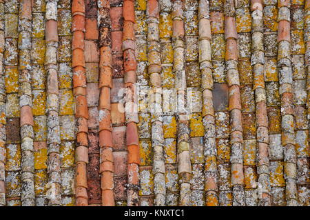 Vecchio stile e tetti di tegole del tetto in Italia Foto Stock