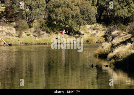 Trote pescatore sulle rive del fiume Thredbo a Thredbo scavi in Kosciuszko Parco Nazionale delle montagne innevate nel sud del Nuovo Galles del Sud Foto Stock