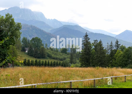 Vista dei monti Tatra e l'area verde della città di Zakopane in Polonia. Foto Stock