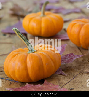 Zucche e foglie di autunno su una superficie in legno Foto Stock