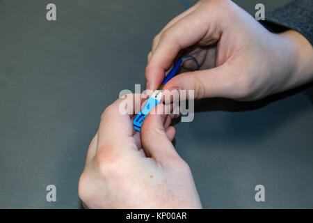 Primo piano delle mani di information technology techie lavora con cavi contro uno sfondo grigio Foto Stock