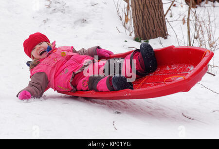 Una bambina (3 anni) in slittino Quebec Foto Stock