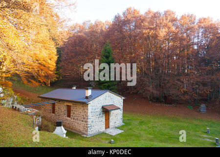 Autunno paesaggio di montagna. Monte Grappa, Alpi Italiane Foto Stock