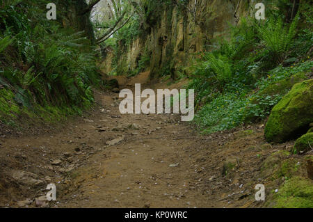 L'inferno Lane, Symondsbury, Dorset Foto Stock