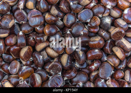 Molti freschi castagno (Castanea sativa) in vendita Foto Stock