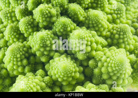 Close-up di Broccolo romanesco - Giovanni Gollop Foto Stock