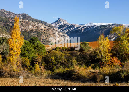 Sierra Nevada panorama sulle cime delle montagne coperte di neve precoce e vista su alberi di autunno Foto Stock