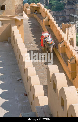 Elefante sul Forte Amber pareti, Amer, Jaipur, Rajasthan, India Foto Stock