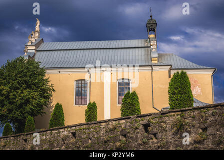 Cattedrale cattolica dei Santi Apostoli Pietro e Paolo sulla città vecchia di Kamianets-Podilskyi città in Khmelnytskyi Oblast di Ucraina occidentale Foto Stock
