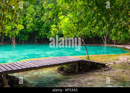 Il pavimento in legno attorno alla piscina di smeraldo di Krabi, in Thailandia Foto Stock