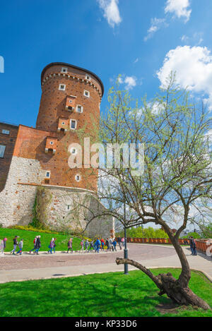 Castello di Cracovia, vista dei bambini delle scuole polacche in una visita educativa alla collina di Wawel passando accanto alla torre sud del Castello reale, Cracovia, Polonia. Foto Stock