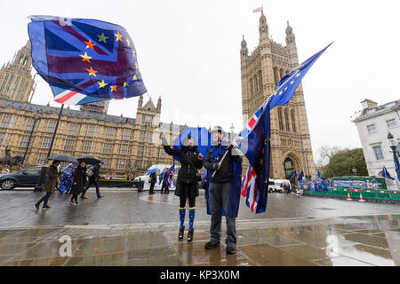 Londra, Regno Unito. 13 Dicembre 2017Anti Brexit, pro manifestanti europei dimostrano al di fuori del parlamento di Westminster ad oggi. La House of Commons dibattito oggi un emendamento alla trattativa Brexit, dando MP è il diritto di voto sul finale di trattativa, dovrebbe diventare sanciti dalla legge. Credito: Vickie Flores/Alamy Live News Foto Stock