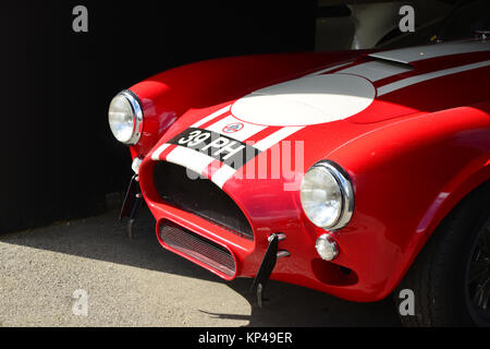 Paolo Vesty, AC Cobra, CSX 2131, Shelby Cobra Daytona Coupe Parade, 2015, classic cars, Goodwood, Goodwood, Goodwood 2015, historic car Foto Stock