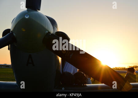 Spitfire al tramonto, Goodwood, 2015 50's, 60's, 2015, Chris McEvoy, CJM Fotografia, Classic Cars, Ferrari, cinquanta, Goodwood, Goodwood Reviv Foto Stock