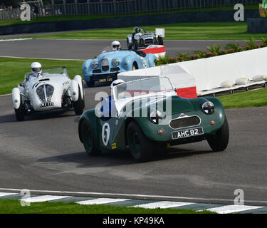 Guy Loveridge, Connaught L2, AHC 82, Fordwater trofeo, Goodwood, 2015 50's, 2015, Chris McEvoy, CJM Fotografia, Classic Cars, cinquanta, forti Foto Stock