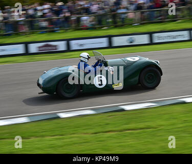 Guy Loveridge, Connaught L2, Fordwater trofeo, Goodwood, 2015 50's, 2015, gara di campionato, Chris McEvoy, il circuito da corsa, CJM Fotografia, cl Foto Stock