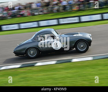 Nicholas Pellett, Frazer Nash Le Mans Coupe, Fordwater trofeo, Goodwood, 2015 50's, 2015, gara di campionato, Chris McEvoy, il circuito da corsa, CJM Foto Stock