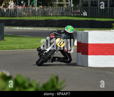 Mick Grant, Gary Johnson, Manx Norton 500, Barry Sheene Memorial Trophy, Goodwood 2015, 2015, Barry Sheene Memorial Trophy, Classic Cars, buona Foto Stock