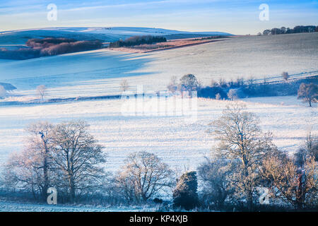 Un gelido mattina sulle Downs nel Wiltshire. Foto Stock