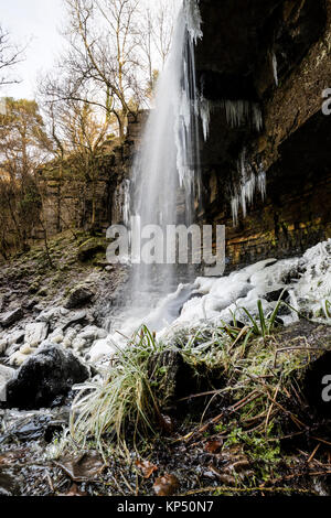 Forza Ashgill, in inverno, Garrigill, Cumbria, Regno Unito Foto Stock