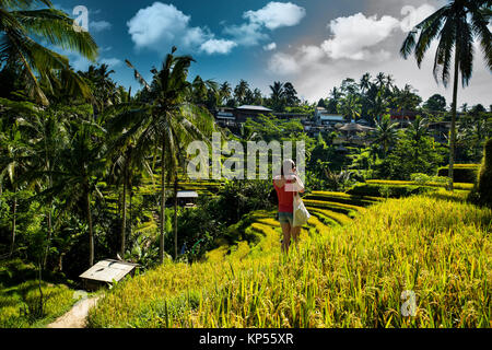 Vista aerea del riso Tegalalang Terrazza in Ubud, Bali, Indonesia. Foto Stock