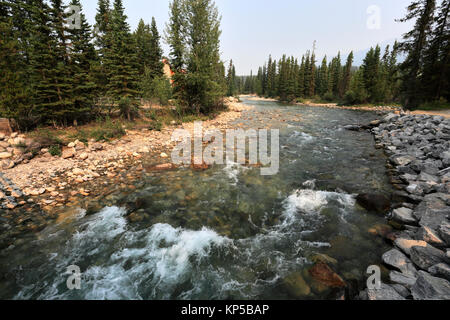 Il fiume Pipestone, Lago Louise, il Parco Nazionale di Banff, Sito Patrimonio Mondiale dell'UNESCO, montagne rocciose, Alberta, Canada. Foto Stock