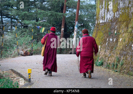 I monaci buddisti a piedi lungo la strada a Mcleod Ganj, Himachal Pradesh, India Foto Stock