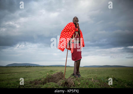 Kenya Safari Masai Josphat guida Mako sorge nel nord di Mara Conservancy confinanti con la Riserva Nazionale di Masai Mara Giugno 23, 2015 in Masai Mara, Kenya. (Foto di Stuart Prezzo/rendono Kenya via Planetpix) Foto Stock