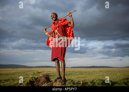 Kenya Safari Masai Josphat guida Mako sorge nel nord di Mara Conservancy confinanti con la Riserva Nazionale di Masai Mara Giugno 23, 2015 in Masai Mara, Kenya. (Foto di Stuart Prezzo/rendono Kenya via Planetpix) Foto Stock