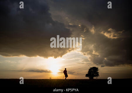 Masai guida safari Josphat Mako passeggiate attraverso il Mara North Conservancy confinanti con il Masai Mara riserva nazionale come il sole tramonta 23 giugno 2015 nel Masai Mara, Kenya. (Foto di Stuart Prezzo/rendono Kenya via Planetpix) Foto Stock