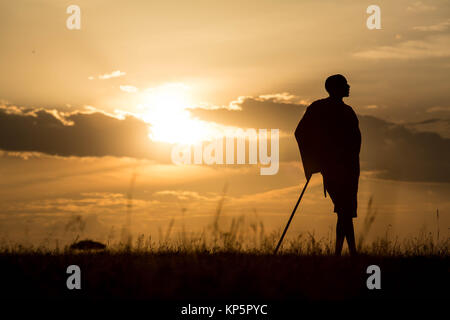 Masai guida safari Josphat Mako passeggiate attraverso il Mara North Conservancy confinanti con il Masai Mara riserva nazionale come il sole tramonta 23 giugno 2015 nel Masai Mara, Kenya. (Foto di Stuart Prezzo/rendono Kenya via Planetpix) Foto Stock