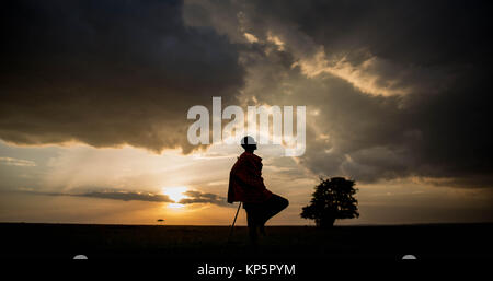 Masai guida safari Josphat Mako passeggiate attraverso il Mara North Conservancy confinanti con il Masai Mara riserva nazionale come il sole tramonta 23 giugno 2015 nel Masai Mara, Kenya. (Foto di Stuart Prezzo/rendono Kenya via Planetpix) Foto Stock