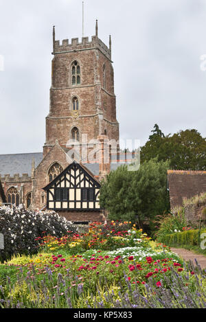 Una collezione autunno volta vista del National Trust Garden Dream in fiore al Castello di Dunster nel Somerset, Inghilterra con la chiesa di San Giorgio in background Foto Stock