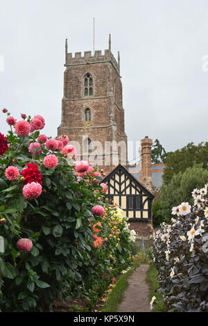 Una collezione autunno volta vista del National Trust Garden Dream in fiore al Castello di Dunster nel Somerset, Inghilterra con la chiesa di San Giorgio in background Foto Stock