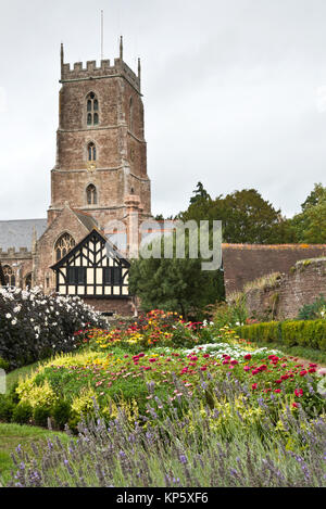 Una collezione autunno volta vista del National Trust Garden Dream in fiore al Castello di Dunster nel Somerset, Inghilterra con la chiesa di San Giorgio in background Foto Stock