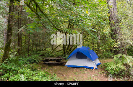 2 Persona tenda camping alberato lanca Parco Regionale Foto Stock