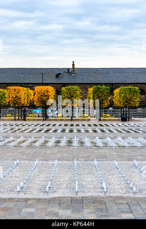 Fontane e piazza-cut faggi cominciando a cambiare colore in Piazza Granaio, King's Cross, LONDRA, REGNO UNITO, su una sera d'autunno, 2012 Foto Stock