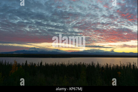 Willow lago a sud-est di Alaska Wrangell St. Elias National Park Foto Stock