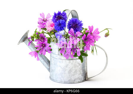 Bouquet di fiori di campo luminoso in annaffiatoio, isolato su bianco Foto Stock
